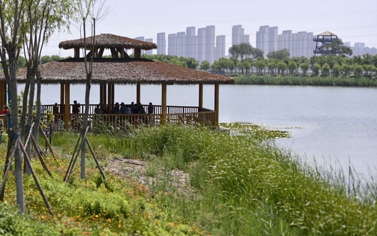 这是2022年7月7日拍摄的位于天津市西青区王稳庄镇的生态廊道一景。（新华社记者赵子硕摄）