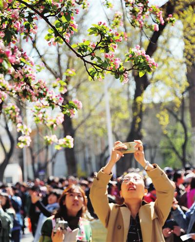 天津大学海棠季举行，各种科技文化活动吸引了广大市民参与。