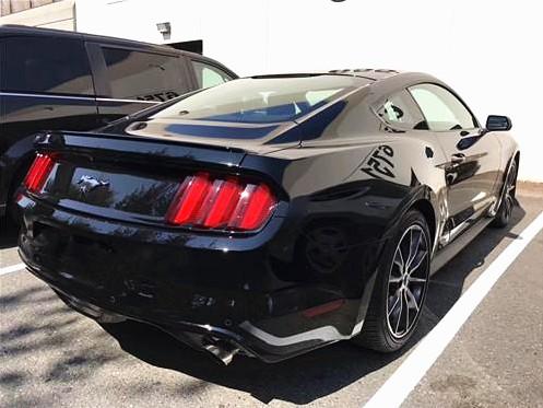 福特野马 爆款行情 震惊市场底价出售