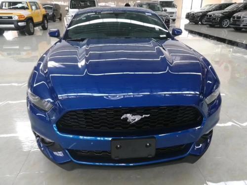 17款电光蓝野马年底超低价速度力量结合