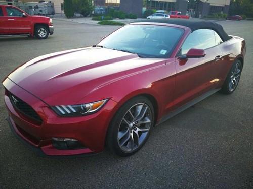 福特野马报价敞篷美规 年底震撼来袭