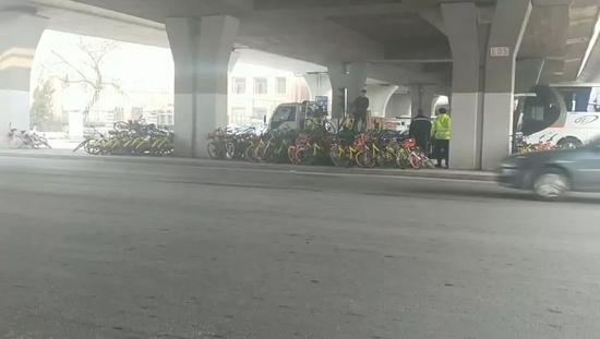 十一经路立交桥下共享单车乱扔堆积如山 警报