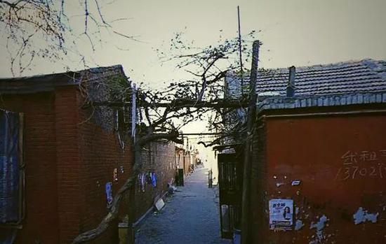 “三微”工程带来“微变化”
