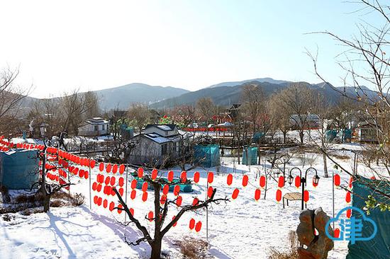 小穿芳峪村乡野小屋