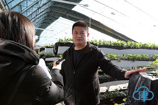 天津市国林食用菌种植合作社理事长陈国华