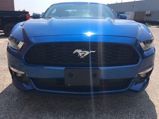 18款进口福特野马2.3T 清仓价格随时看车