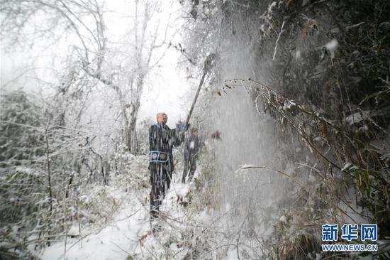 在穿岩村坡头山上，王华文将树木上的冰凌抖掉（1月2日摄）。