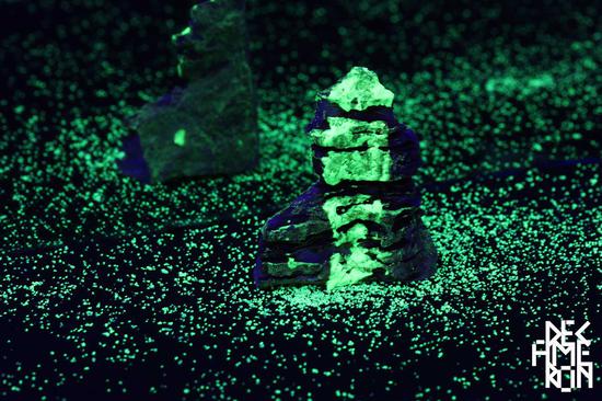 沈凌昊 《一个海边的夜晚》 岩石、海草、贝壳、珊瑚、感光材料、UV光等混合媒介装置 尺寸可变 2018