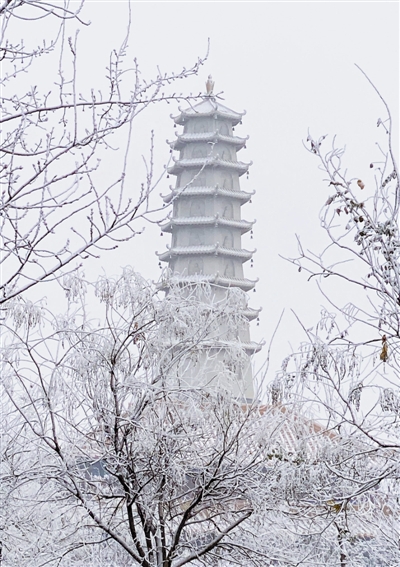 昨天，外环线附近出现树挂美景。