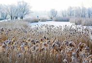 五大连池之冬 沉淀在时光深处的静美