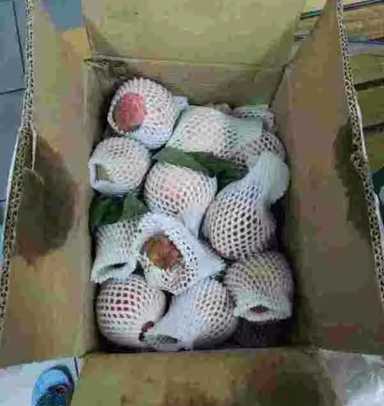 天津网友在拼多多上买水果收到后竟全烂了(图