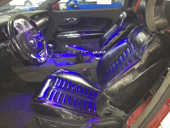 1SBZ-fxzqxha9904866.jpg