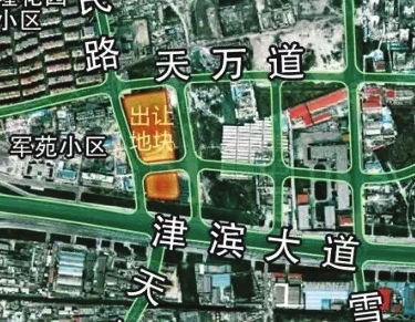 东丽区津滨大道地块