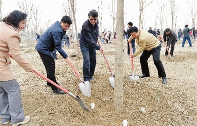 昨天是我市第36个全民义务植树日,全市共组织干部群众、驻津部队、武警官兵7500余人开展义务植树活动,栽种树木62000余株。