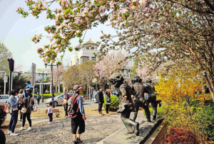 清明小长假期间,五大道景区内百花盛开,吸引着本市及周边省市游客,尤其是大理道两侧盛开的海棠,使游人置身于花海之中,赏洋楼之风貌,品海棠之芳香。新报记者 吴迪 摄