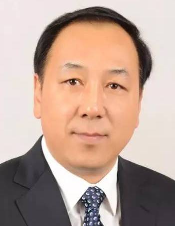 杨茂荣当选滨海新区区长 他在就职发言中这样