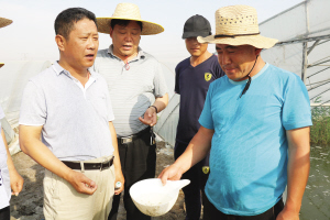 北塘街农业服务中心工作人员和水产技术人员与养殖户一起探讨虾苗状况。