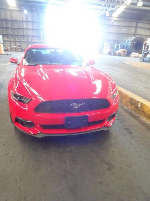 2017款福特野马热卖畅销中造型硬朗大