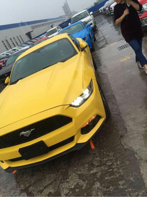 2017款福特野马 经典现车值得拥有