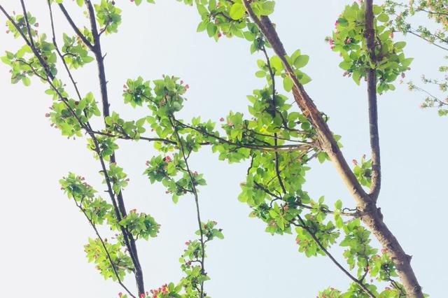 退休带孙女受累不讨好 我什么时候才能彻底解放