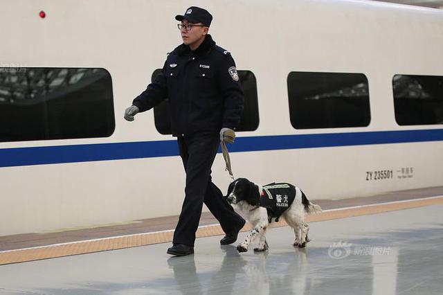 12岁高龄搜爆犬守护春运 站好最后一班岗