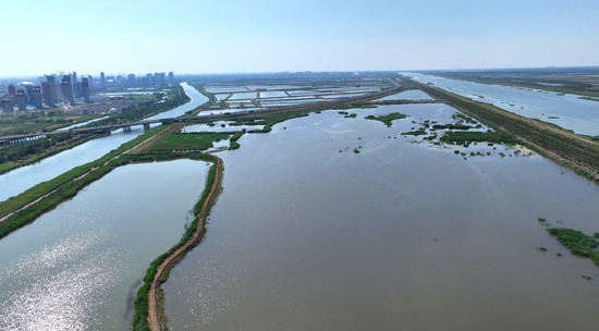 俯瞰绿色生态屏障宁河区段（央广网发 天津市规划和自然资源局供图）