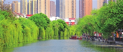 “五一”假期第二天，我市天气晴好，南运河两岸绿树成荫、风光秀丽。孙立伟 摄