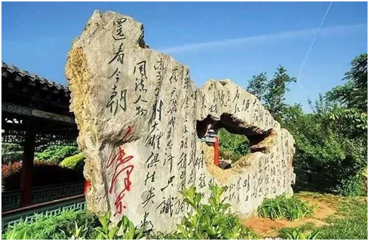 (图源:津南区旅游局)