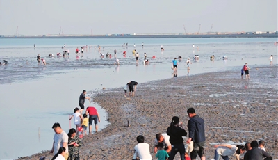 图:八卦滩人满为患 图片由志愿者提供