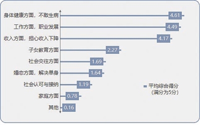 图8 担心的主要问题(平均综合得分)