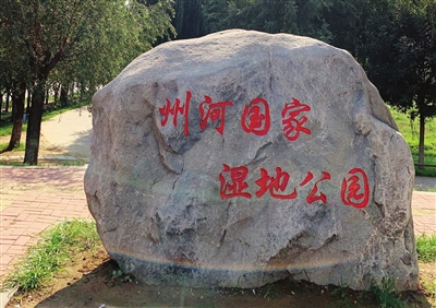 州河国家湿地公园 本报记者 陈忠权 摄