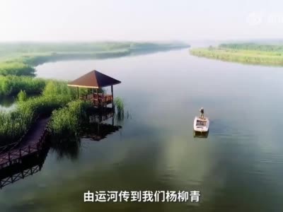 沿着大运河看中国｜运河载来“杨柳青”