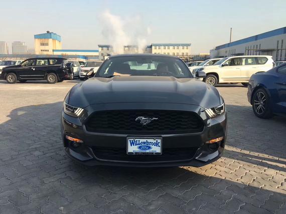 美规福特野马标配版 魄力风范特惠酬宾