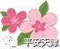报名方式