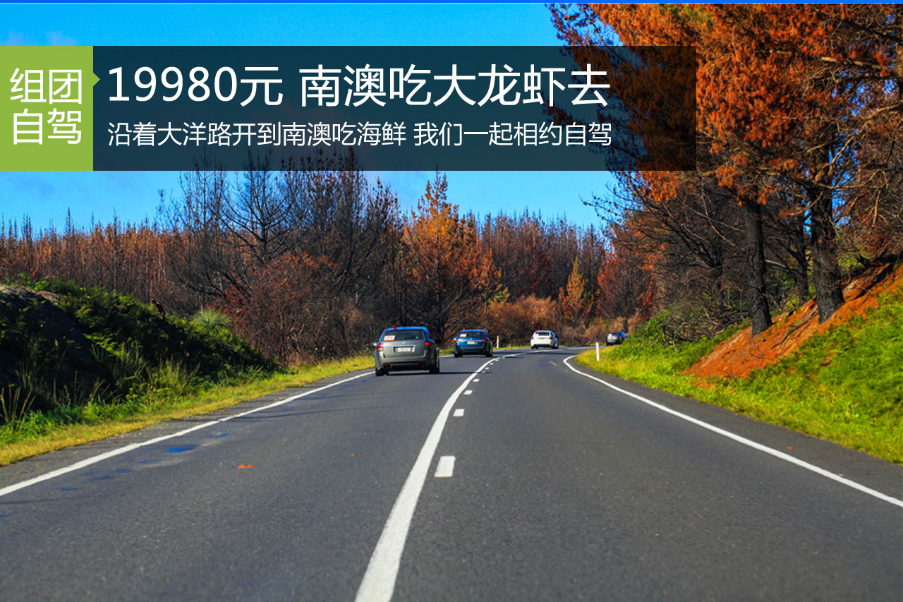 招募|花2万就能自驾澳洲12天吃大龙虾