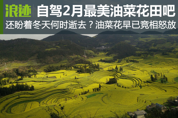 还盼着冬天逝去？自驾2月最美油菜花田吧