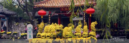 第二名:河南