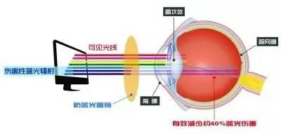 图片来自网络：能穿透角膜和晶状体直达眼底黄斑区的高能蓝光