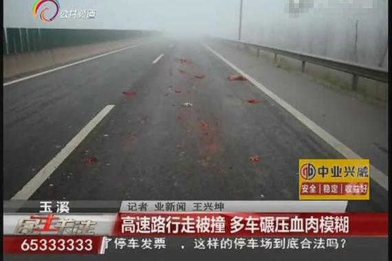 纹身汉高速路上行走 遭多车碾压成碎肉