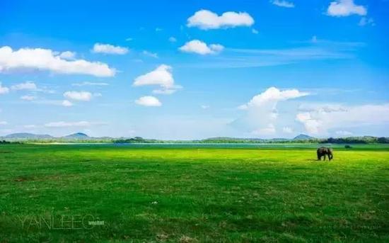 2016全球12个最美自驾旅行地,就去这里!