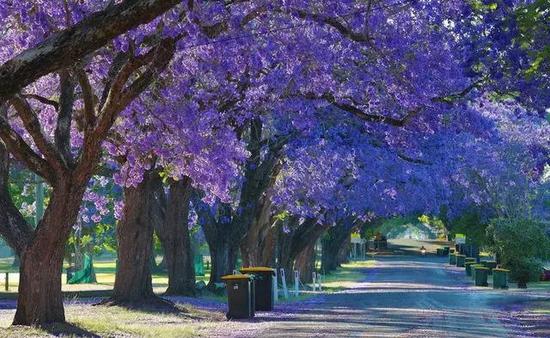 2016全球12个最美自驾旅行地,就去这里!