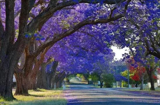 2016全球12个最美自驾旅行地,就去这里!