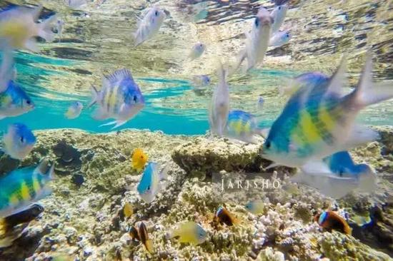 2016全球12个最美自驾旅行地,就去这里!