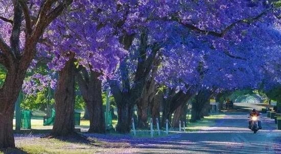 2016全球12个最美自驾旅行地,就去这里!