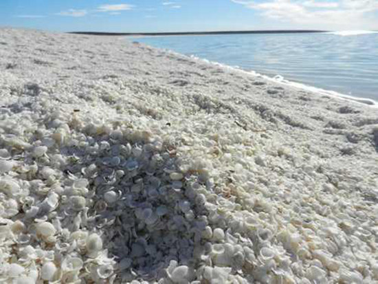 11个海滩 11种颜色 惊艳无比美到窒息