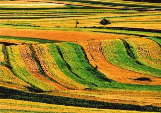 不跟随大众 自驾去一些小众又美丽的景点