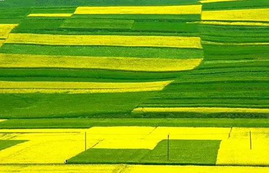 不跟随大众 自驾去一些小众又美丽的景点