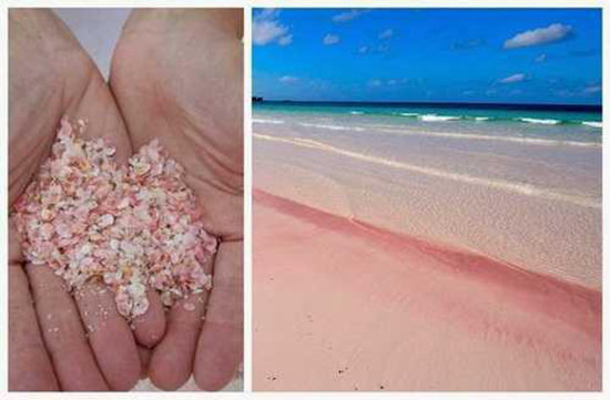 11个海滩 11种颜色 惊艳无比美到窒息