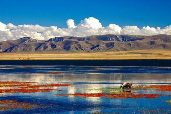 不跟随大众 自驾去一些小众又美丽的景点