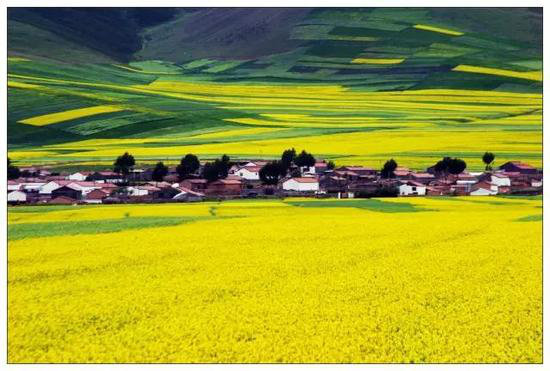 不跟随大众 自驾去一些小众又美丽的景点